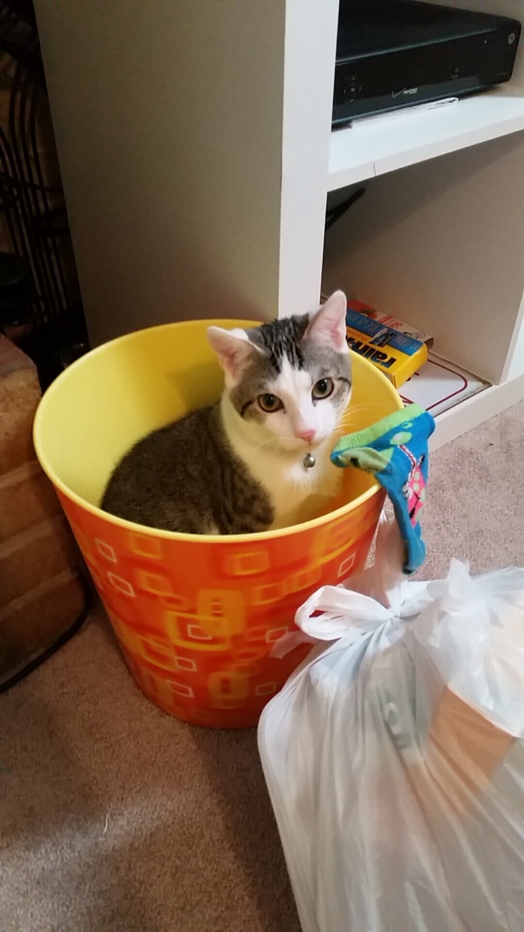 西甲球队基于比赛热度趋势分析优化后场控球时机,2021西甲用球