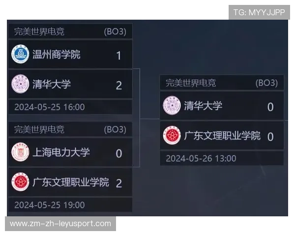 电竞游戏入选大学课程，清华设立专项研究组，清华开设电竞