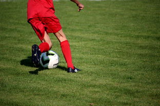 乐鱼体育官网登录-英超青训体系中情绪调节训练对青少年比赛焦虑的控制作用,英超青训球员定义