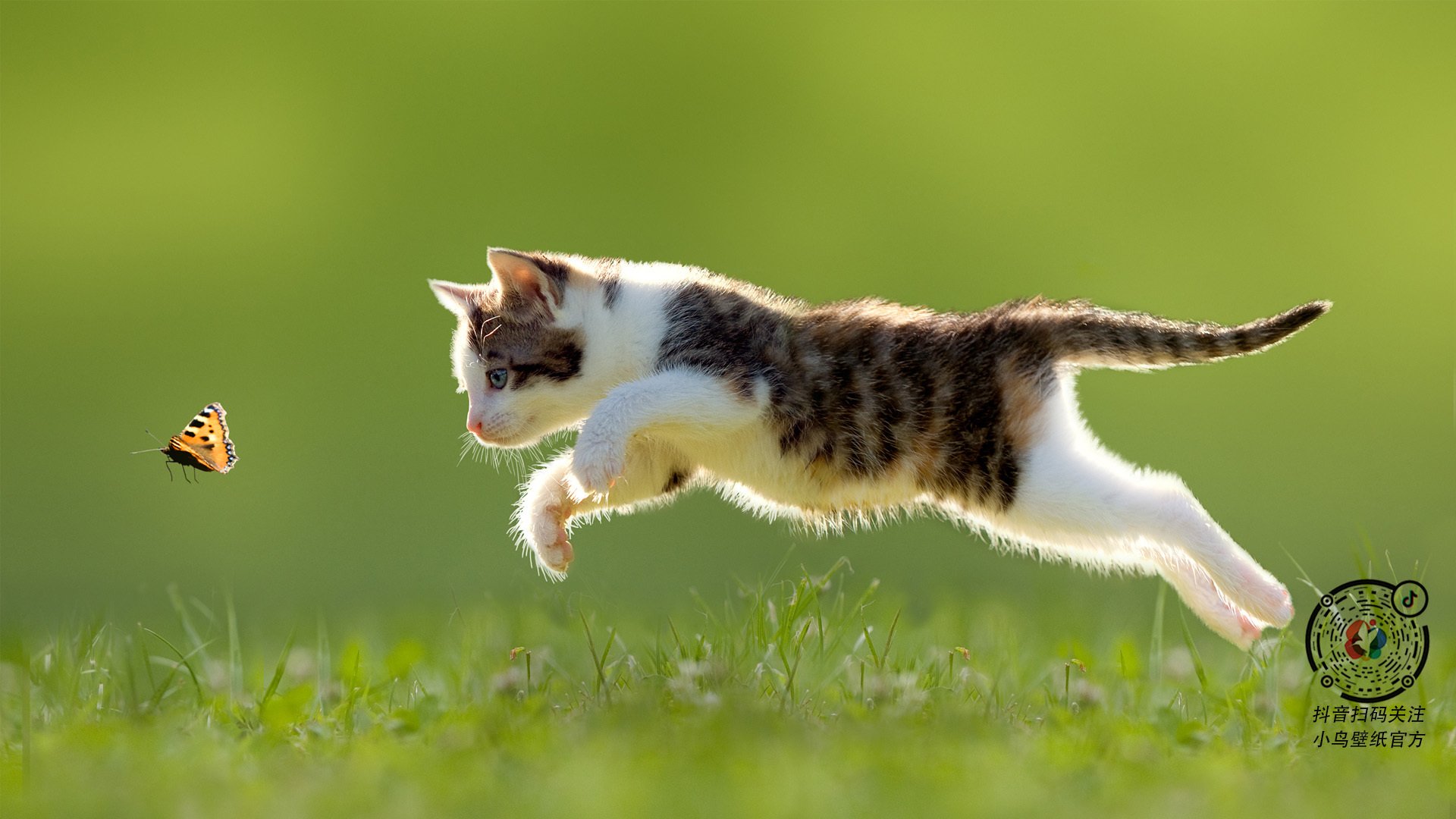 乐鱼体育app在线登录-西甲球队基于比赛热度趋势分析优化后场控球时机，2021西甲用球