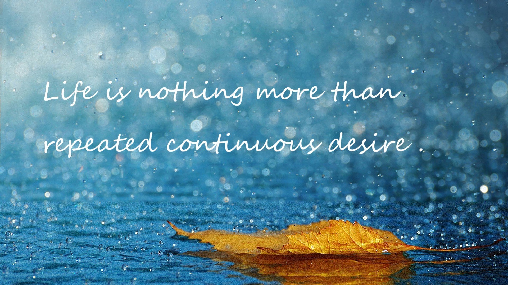 上海男篮新援表现抢眼成为黑马球队关键一环,上海男篮新人