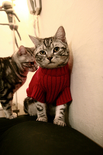 乐鱼体育app官网-国际热身赛国足战胜 球员技术提升明显，国足热身赛取胜